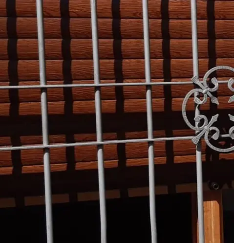 Pinotea Canadiense en Montevideo Cortinas